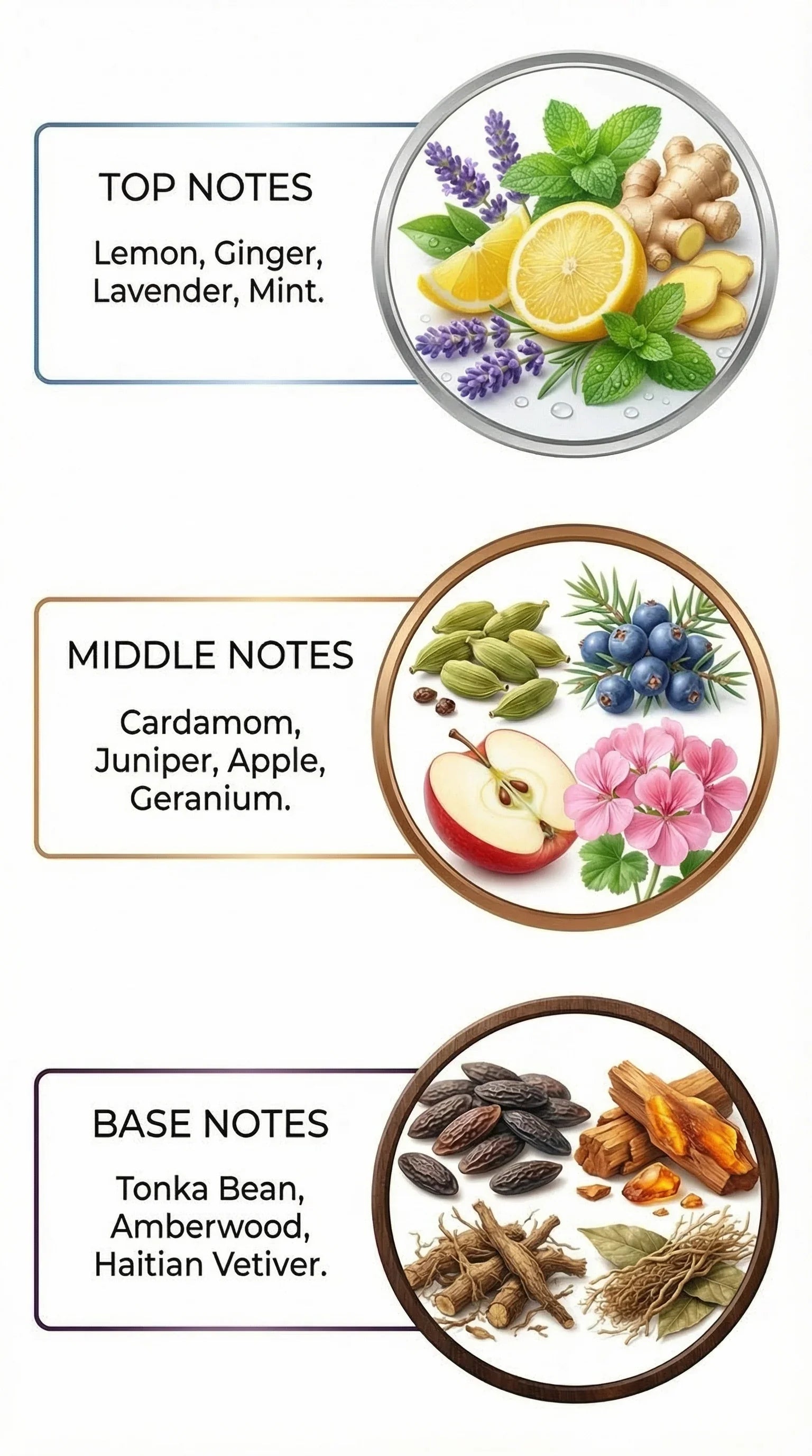 King's Edge Inspired by Azzaro Wanted