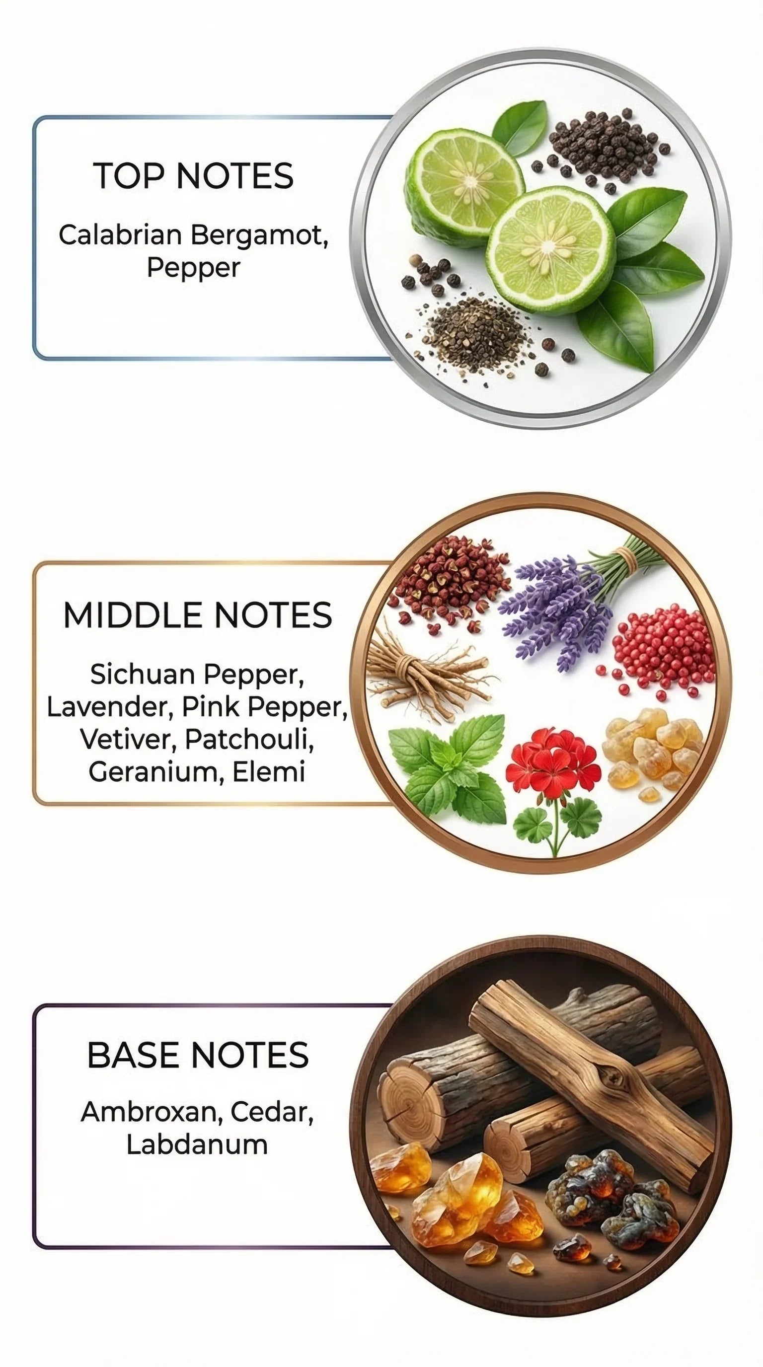 Majestro Inspired By Dior Sauvage