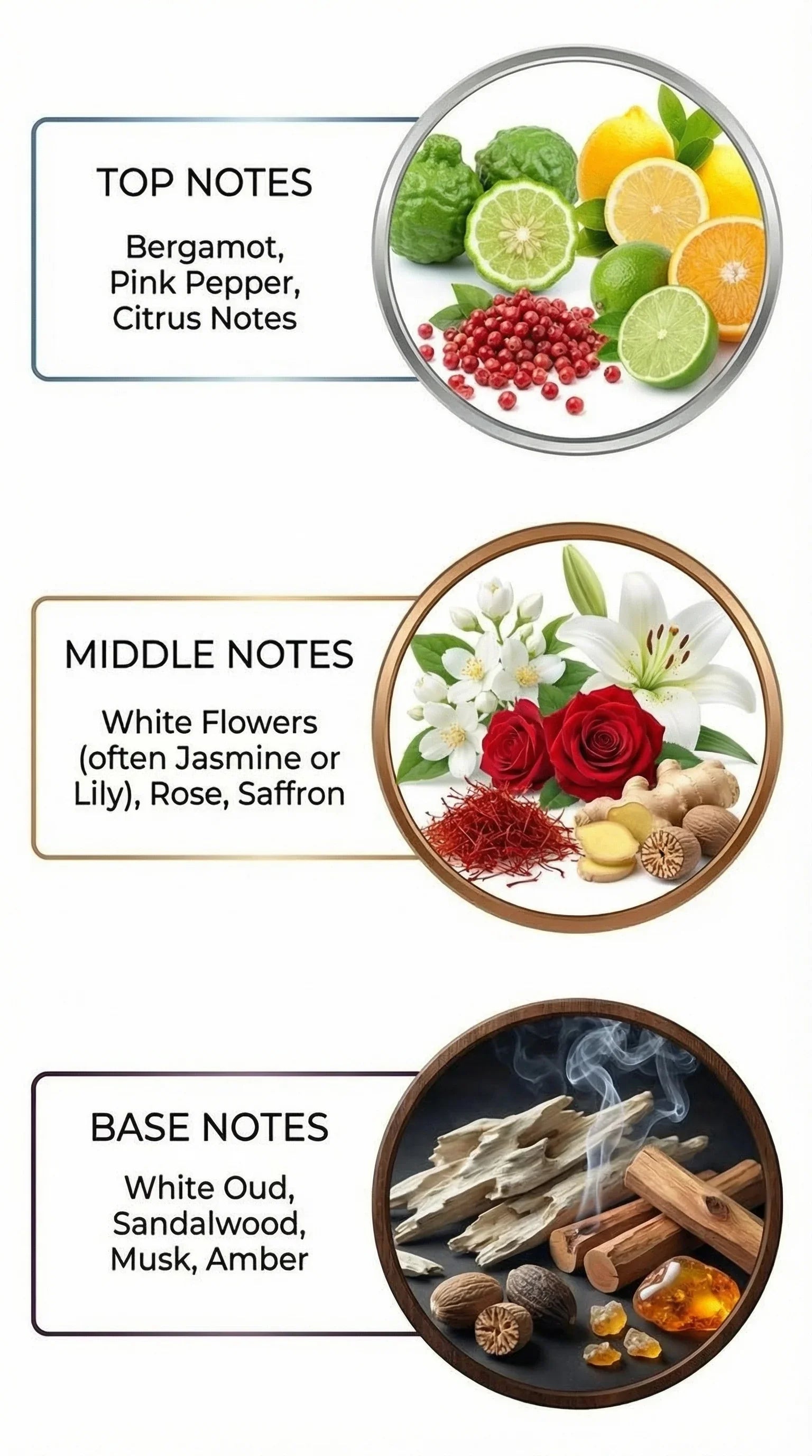 Royale Oud Our Version Of White Oud